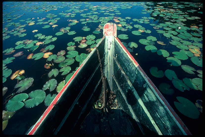 An old wood boat floating on the water full of lotus