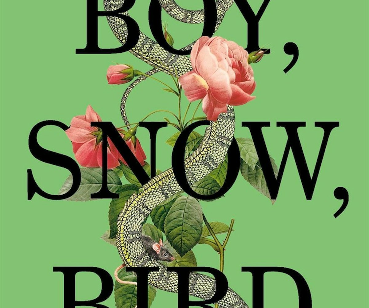 The cover of Boy, Snow, Bird written by Helen Oyeyemi 