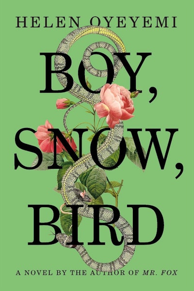 A book Boy, Snow, Bird written by Helen Oyeyemi 
