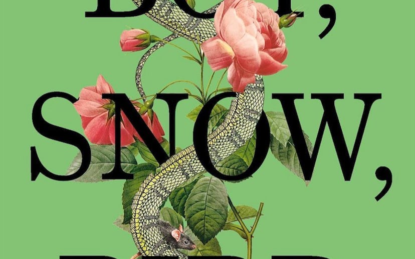 The cover of Boy, Snow, Bird written by Helen Oyeyemi 