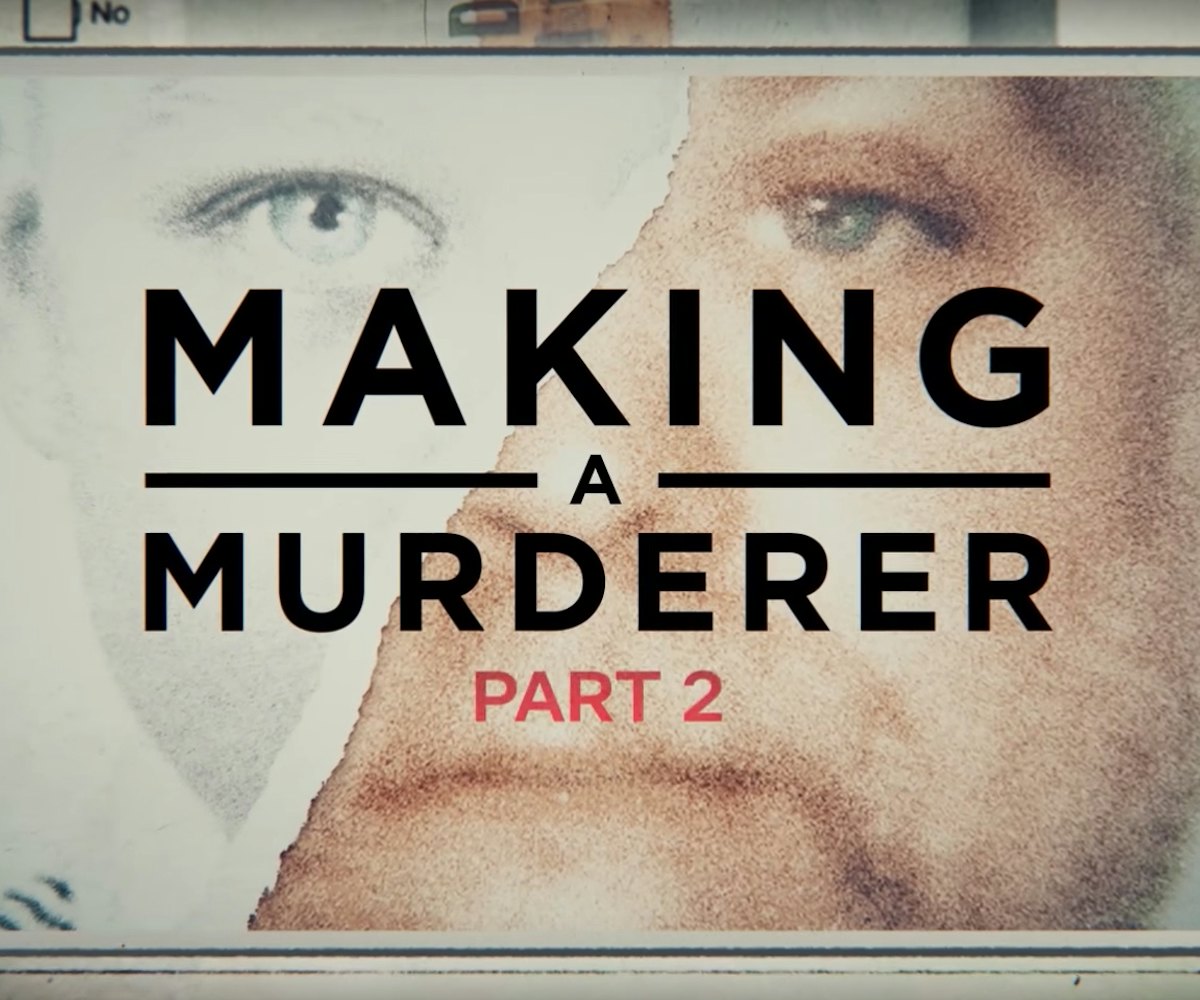 Cover of Making a Murderer Part Two