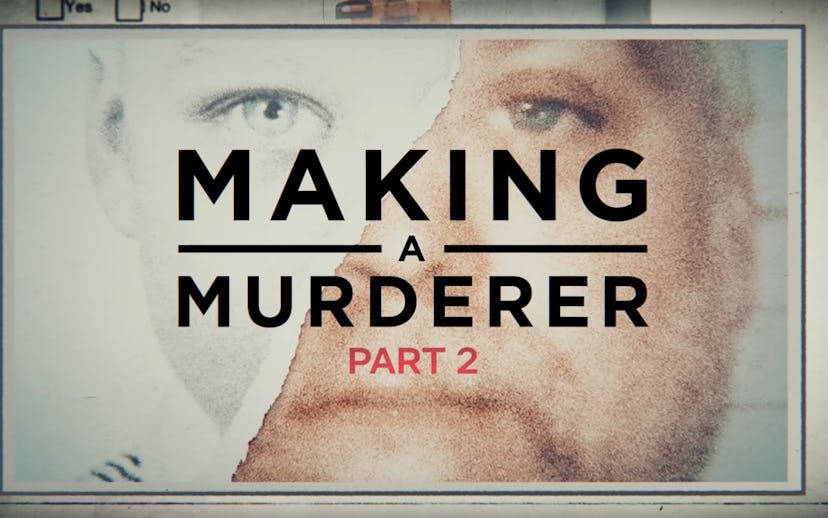 Cover of Making a Murderer Part Two