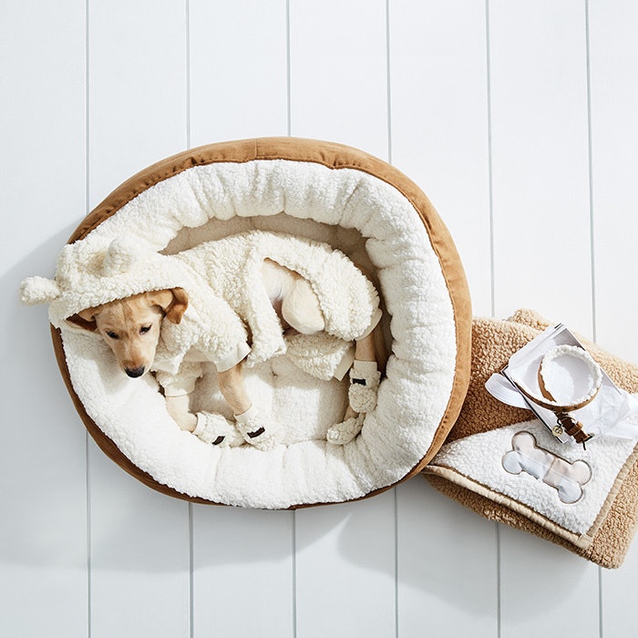 uggs for dogs bed bath and beyond