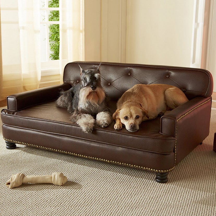 Enchanted Home Pet, Library Sofa Dog Bed