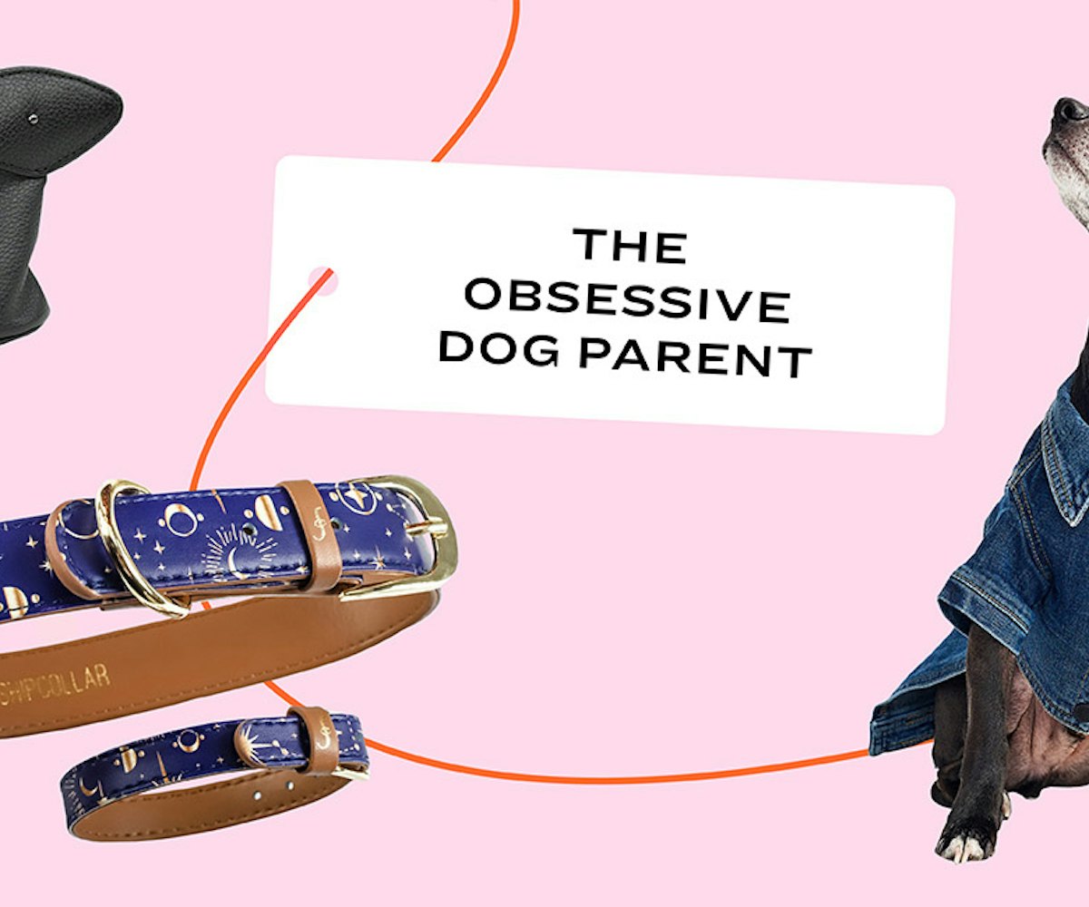 A dog in denim outfit, a collar in blue and a bag with a card saying "The obsessive dog parent"