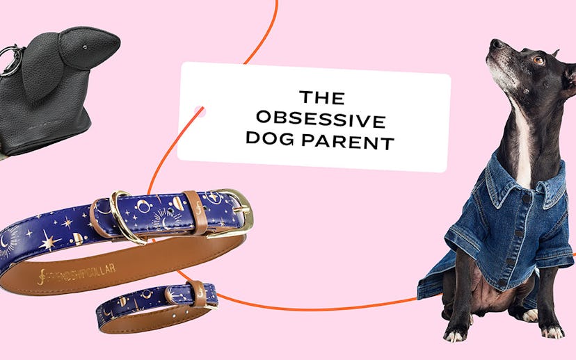 A dog in a denim outfit, a collar in blue and a bag with a card saying "The obsessive dog parent"