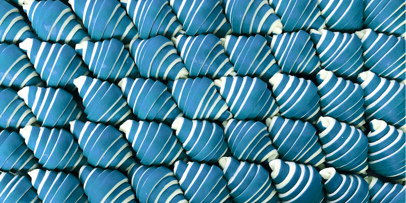 Five rows of white and blue striped croissants from Supermoon Bakehouse