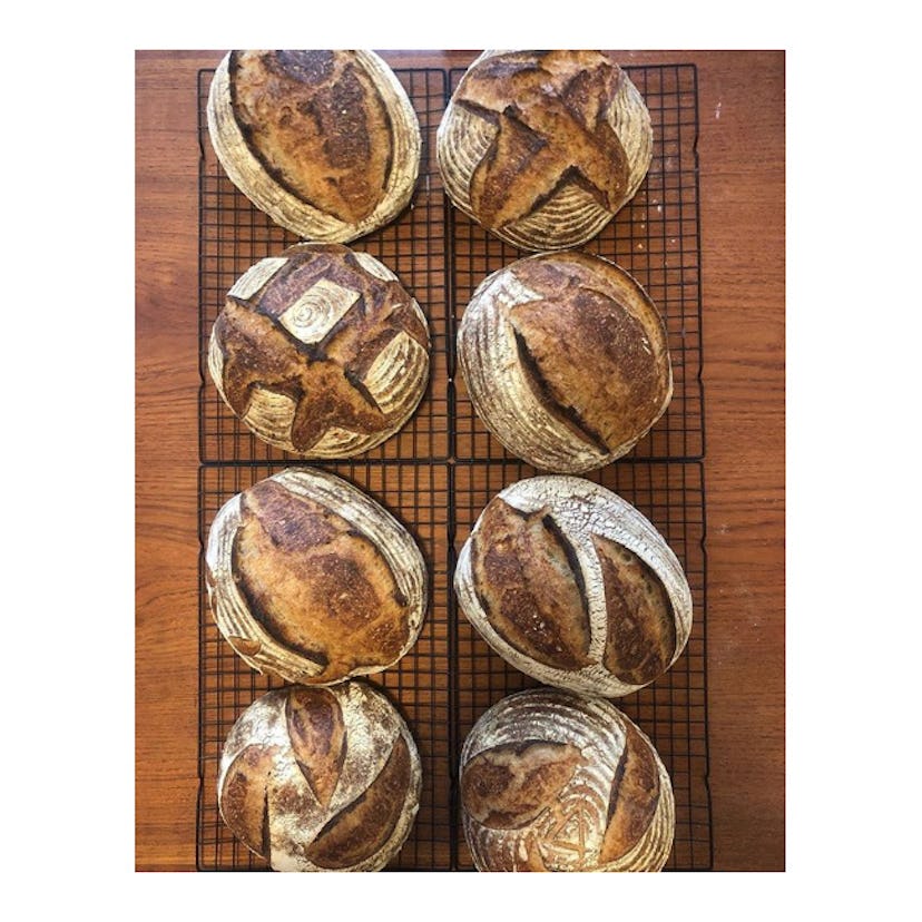 Eight loafs of bread