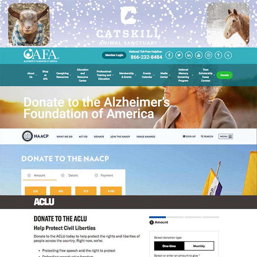 A screenshot of the page for donations to the Alzheimer's Foundation of America