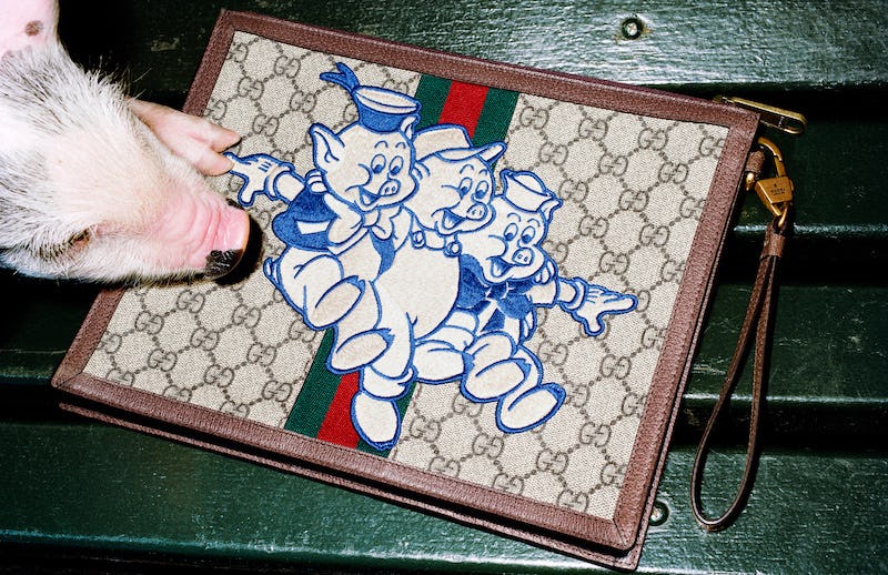 Gucci s New Campaign Features A Group Of Mini Pigs