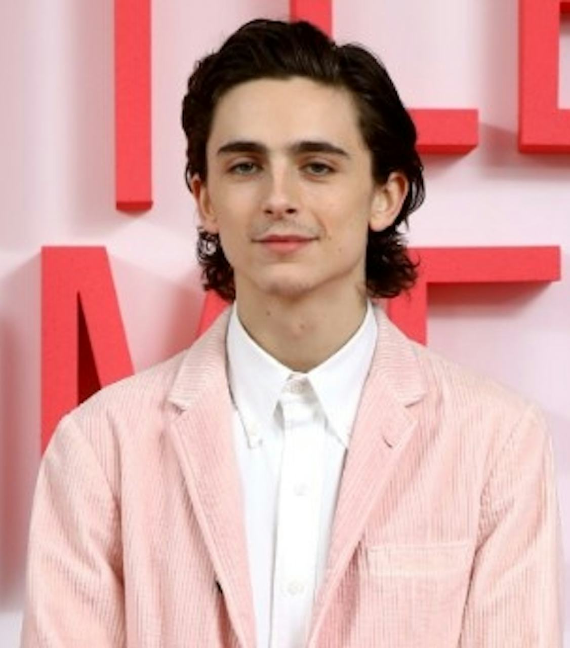 Timothee Chalamet Wore Pink Suit At 'Little Women' Photocall