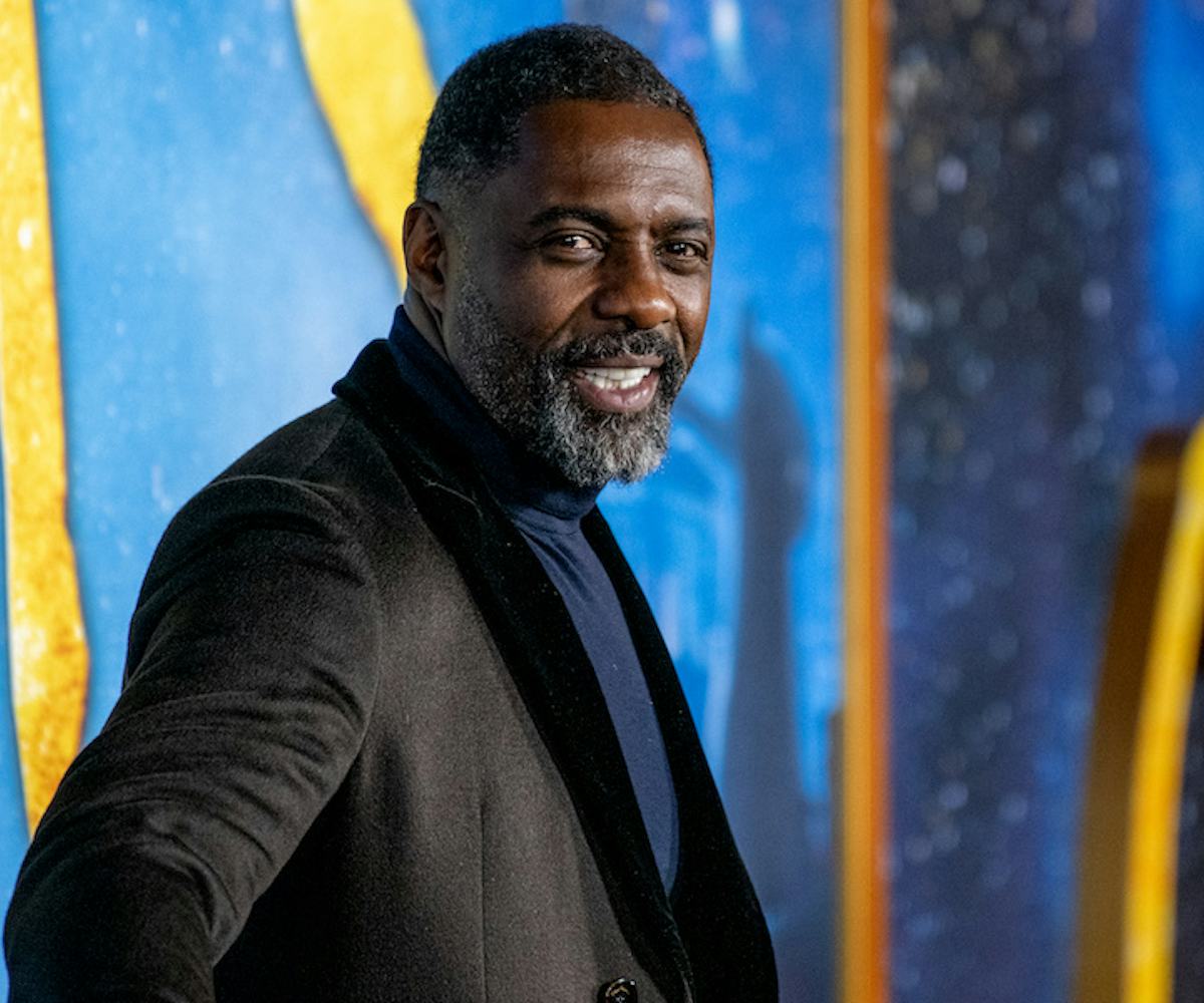 Idris Elba attends the "Cats" World Premiere at Alice Tully Hall, Lincoln Center on December 16, 201...