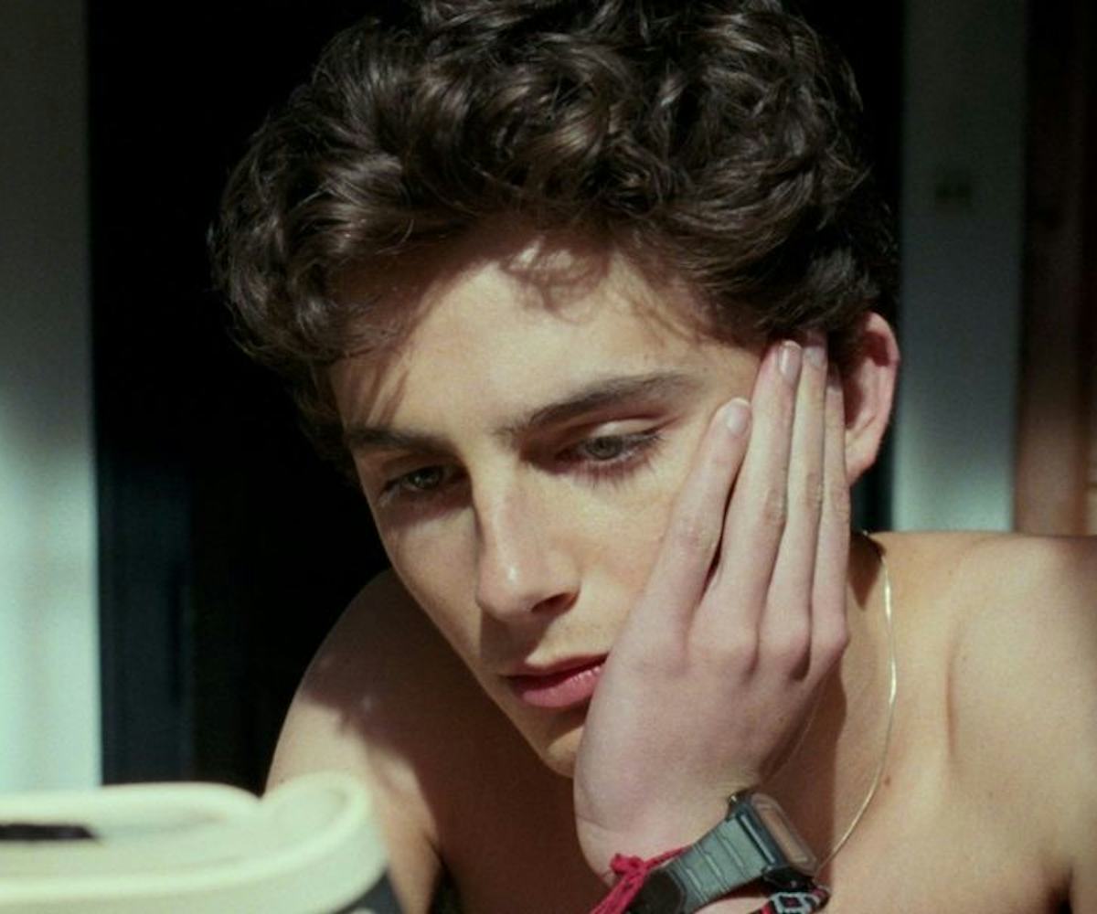 Timothee Chalamet Will Be In Call Me By Your Name Sequel Timothee Chalamet Will Be In Call Me By Your Name Sequel