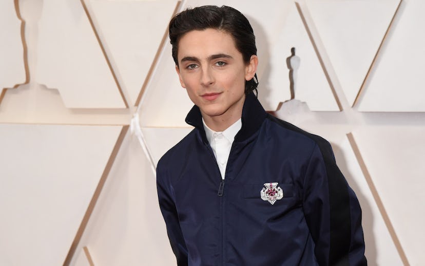 Timothée Chalamet attends the 92nd Annual Academy Awards at Hollywood and Highland on February 09, 2...