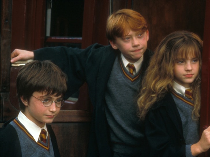 Harry Potters Best Friends Ranked From Frenemy To Bff