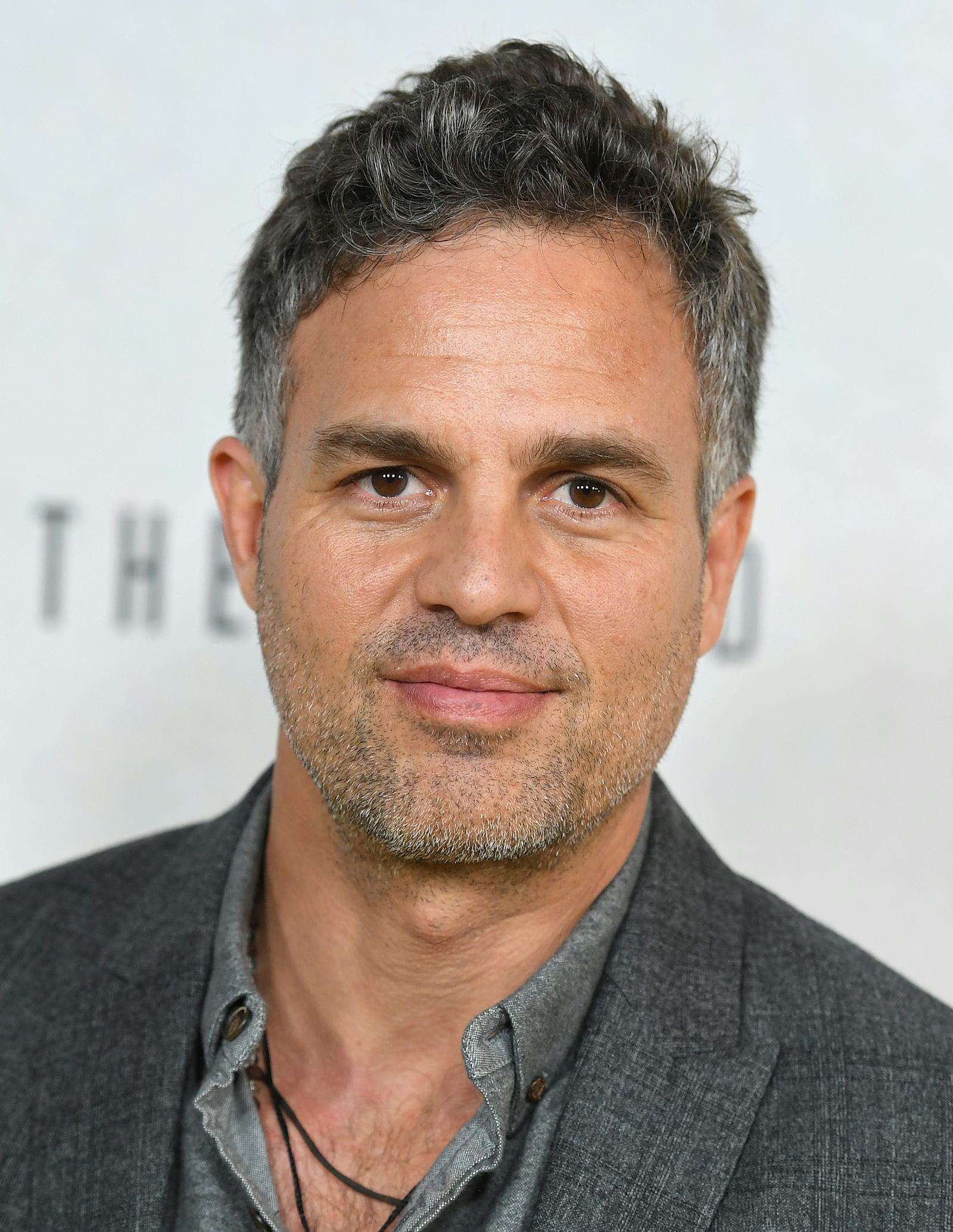 Mark Ruffalo Calls Attention To Violence At The Dakota Access Pipeline ...