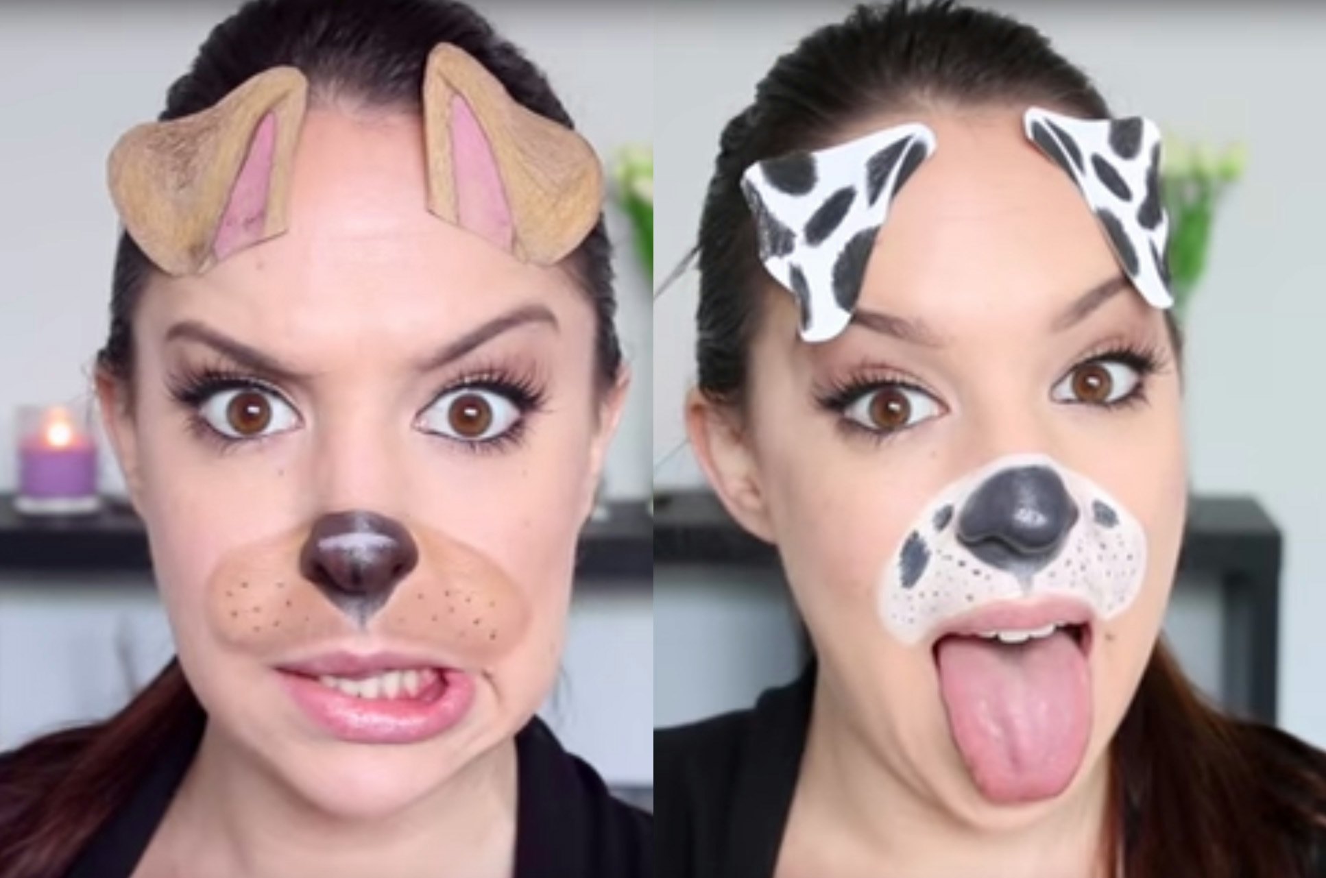 Dog Makeup Easy Mugeek Vidalondon