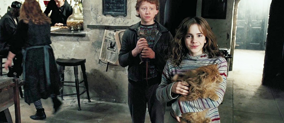 Hermiones Crookshanks Might Have Connected Her To The Potters Before 