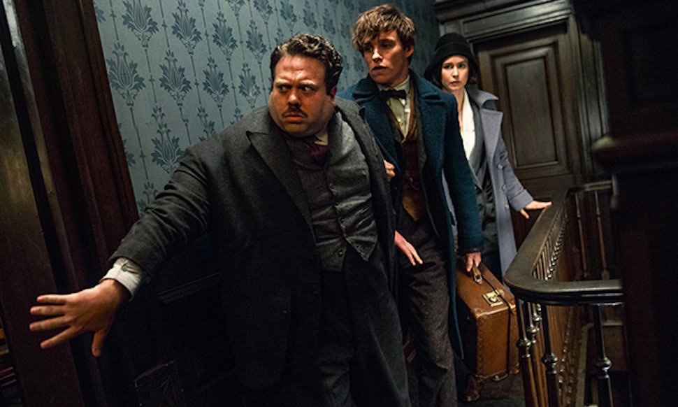 Image result for fantastic beasts and where to find them