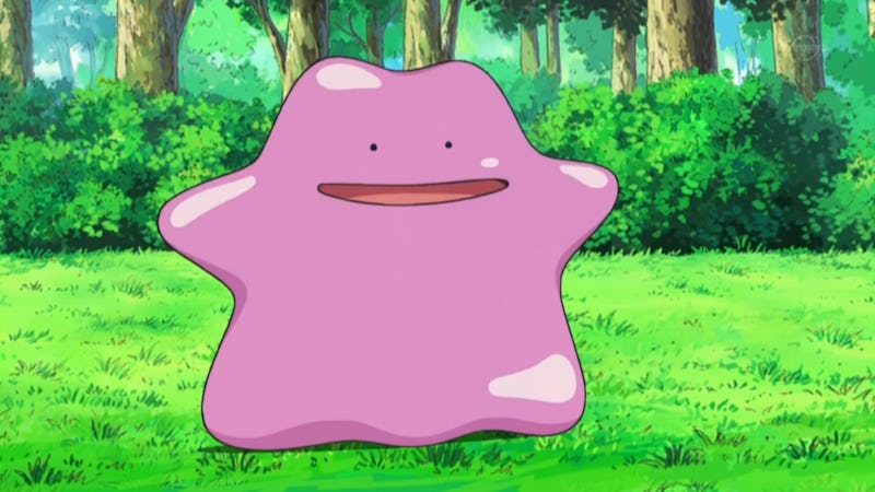 Pokemon Ditto You Can Be Anything