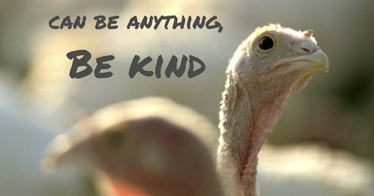 22 Vegan Thanksgiving Memes To Help You Get Through The Holiday 22 Vegan Thanksgiving Memes To Help You Get Through The Holiday