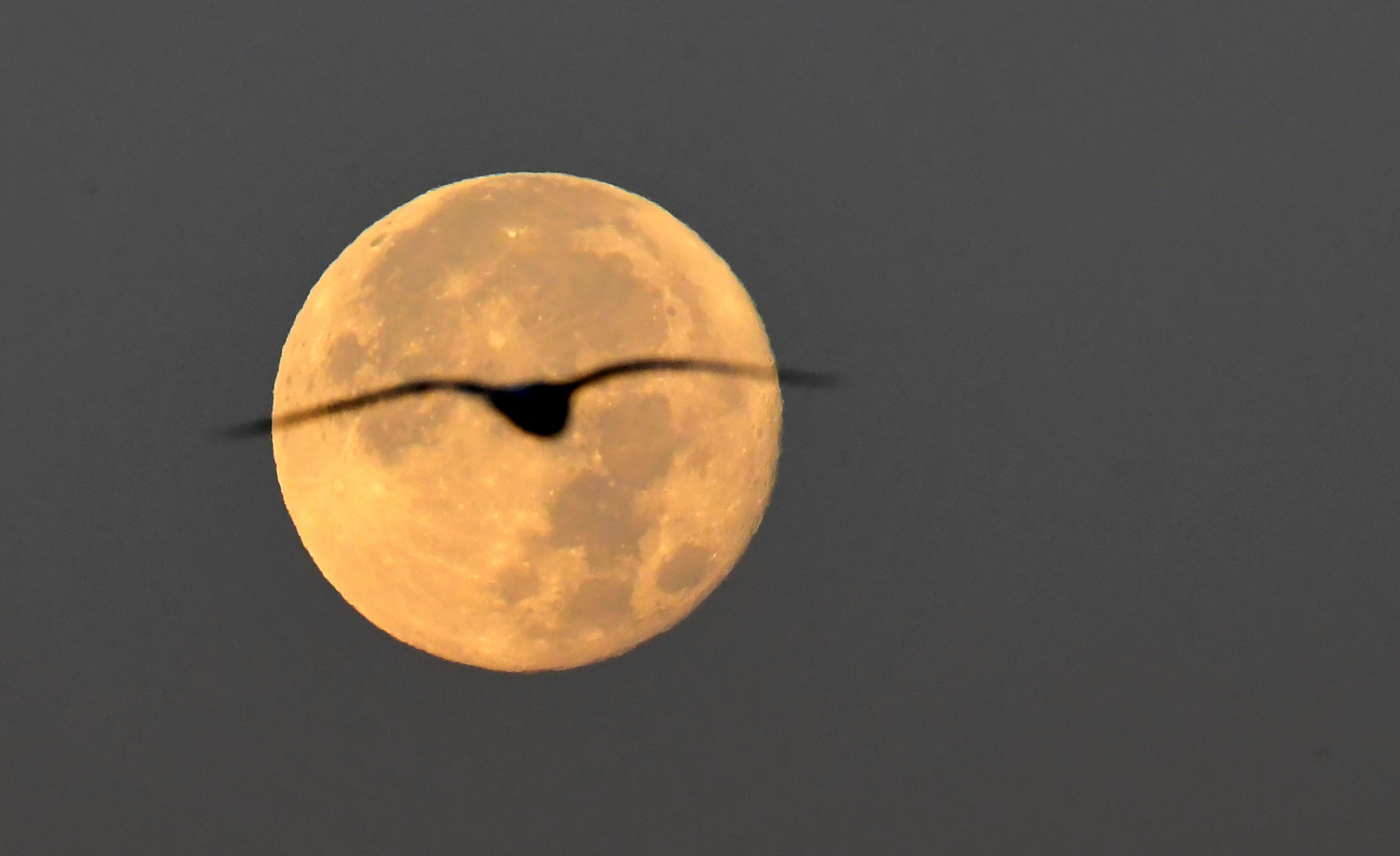 What Does It Mean When A Supermoon & A Meteor Shower Happen At The Same