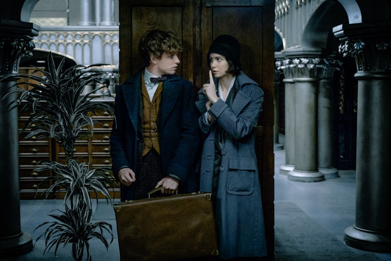 Are Harry Hermione Ron In Fantastic Beasts And Where To Find Them