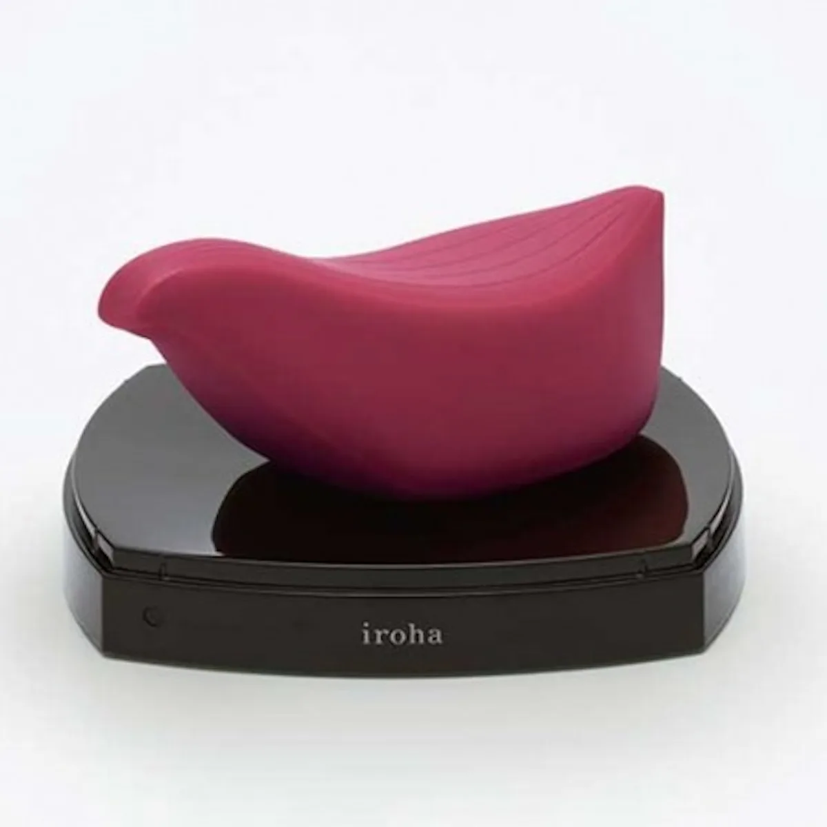 The Best 2016 Sex Toys That Don't Look Like Toys, So You Can Bring Them Home For The Holidays Without Fear The Best 2016 Sex Toys That Don't Look Like Toys, So You Can Bring Them Home For The Holidays Without Fear