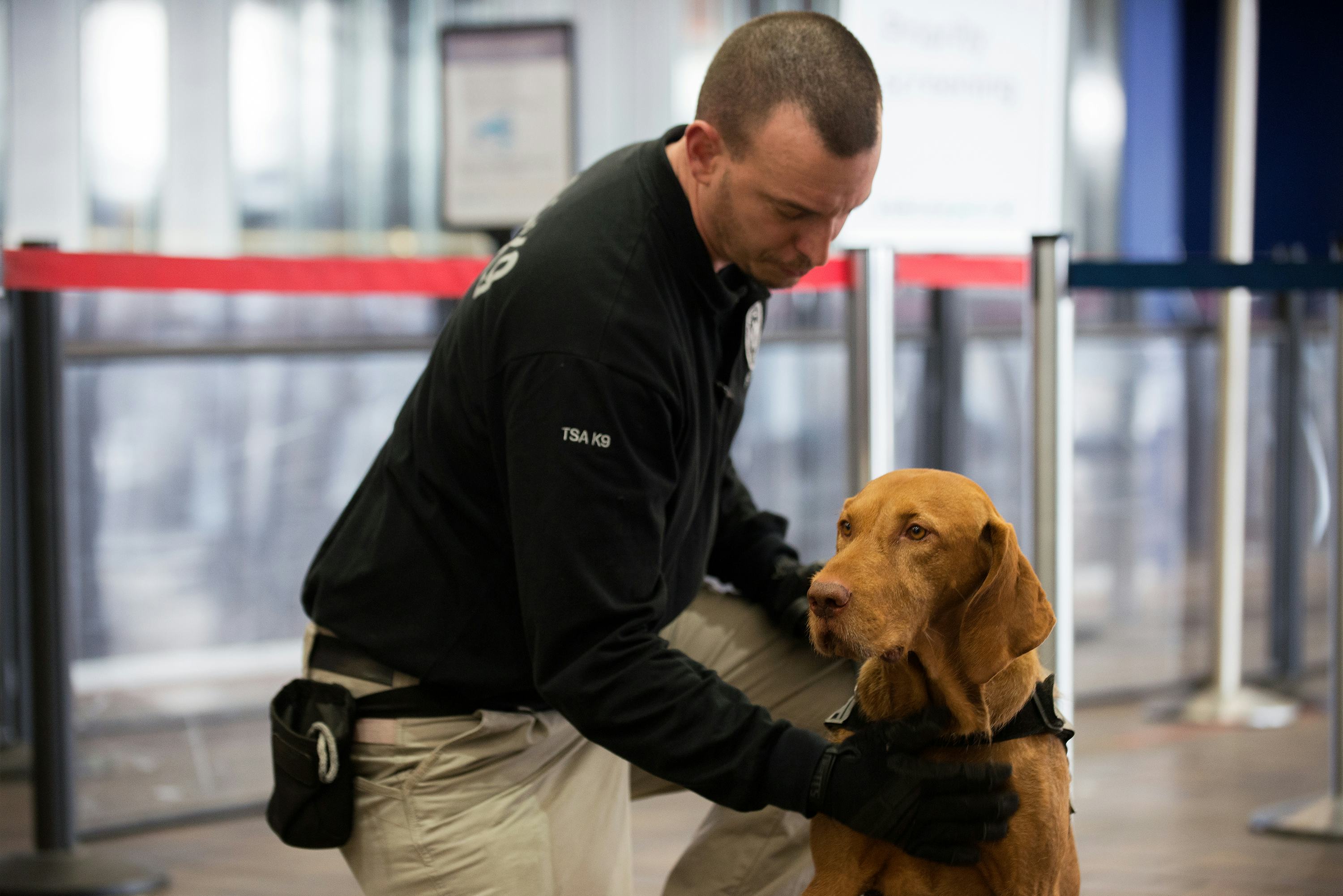 The TSA Dog Adoption Program Needs Good Humans To Adopt Dogs Who Didn