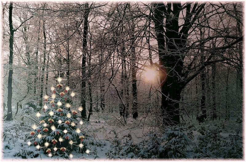 When Was Christmas First Celebrated The Holiday Is Newer Than You Think When Was Christmas First Celebrated