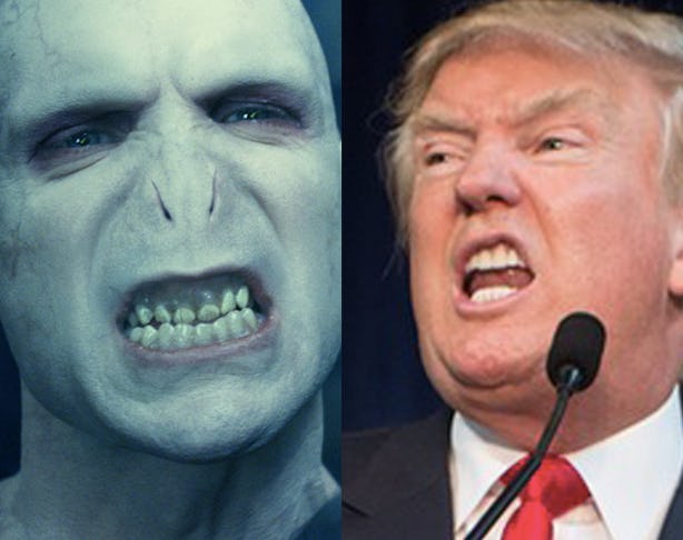 7 Striking Ways Donald Trump & Voldemort Are Actually Totally The Same ...