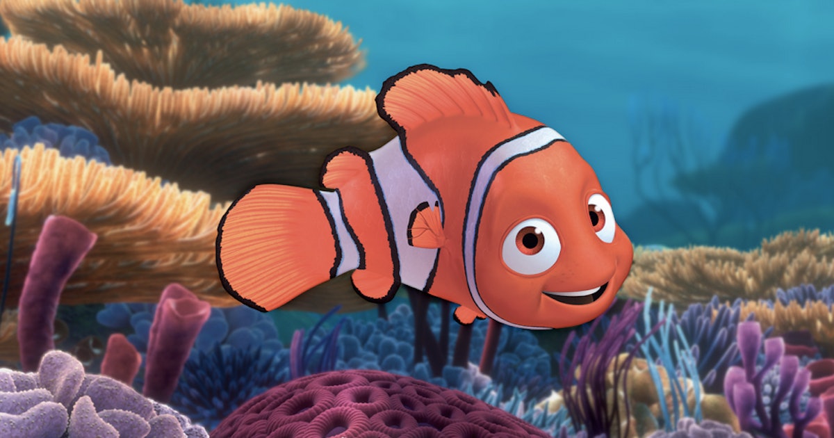 'Finding Nemo' Could Be A True Story, Except For The ...