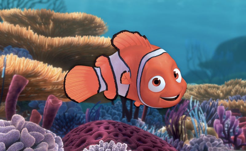Finding Nemo Could Be A True Story Except For The Talking Fish Part Finding Nemo Could Be A True Story Except For The Talking Fish Part