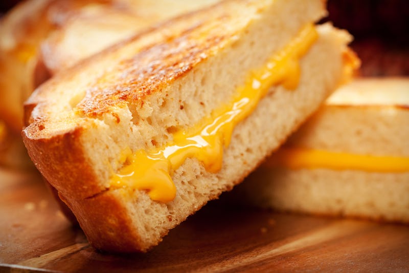 11 Grilled Cheese Memes For National Grilled Cheese Day, Since It's The ...