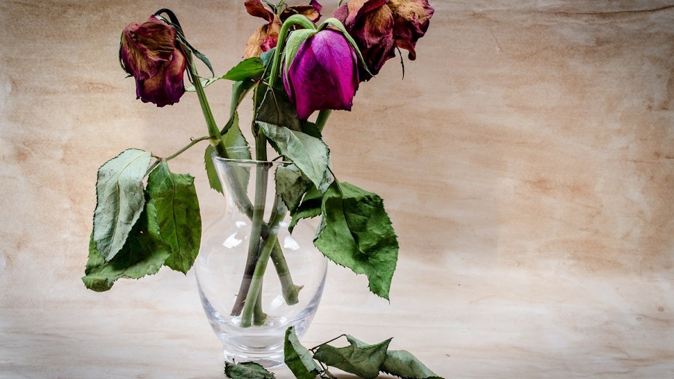 14 Non Religious Poems About Losing A Loved One