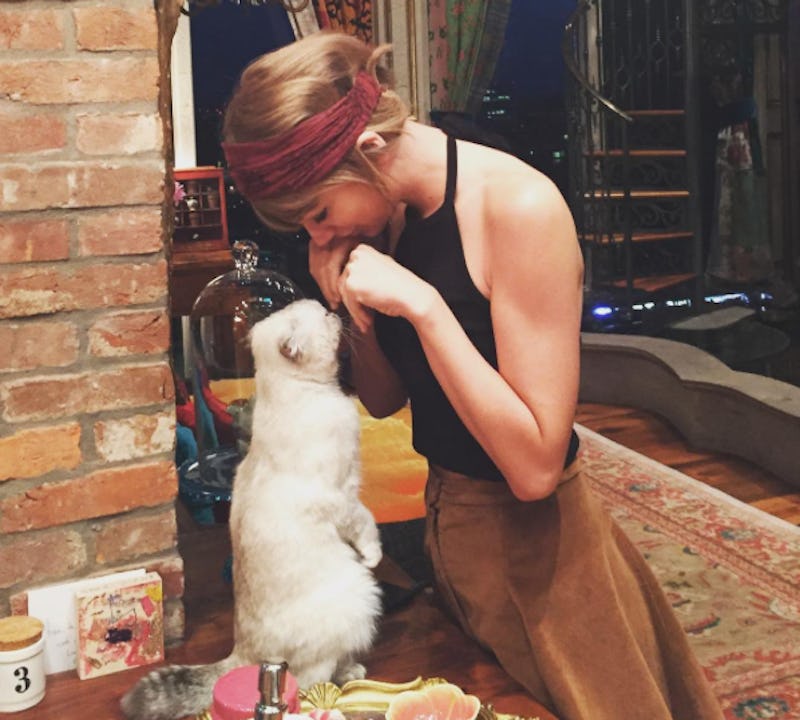 Taylor Swift s Cats Halloween Costumes For Best Friends Let You Live A taylor-swift-s-cats-halloween-costumes-for-best-friends-let-you-live-a