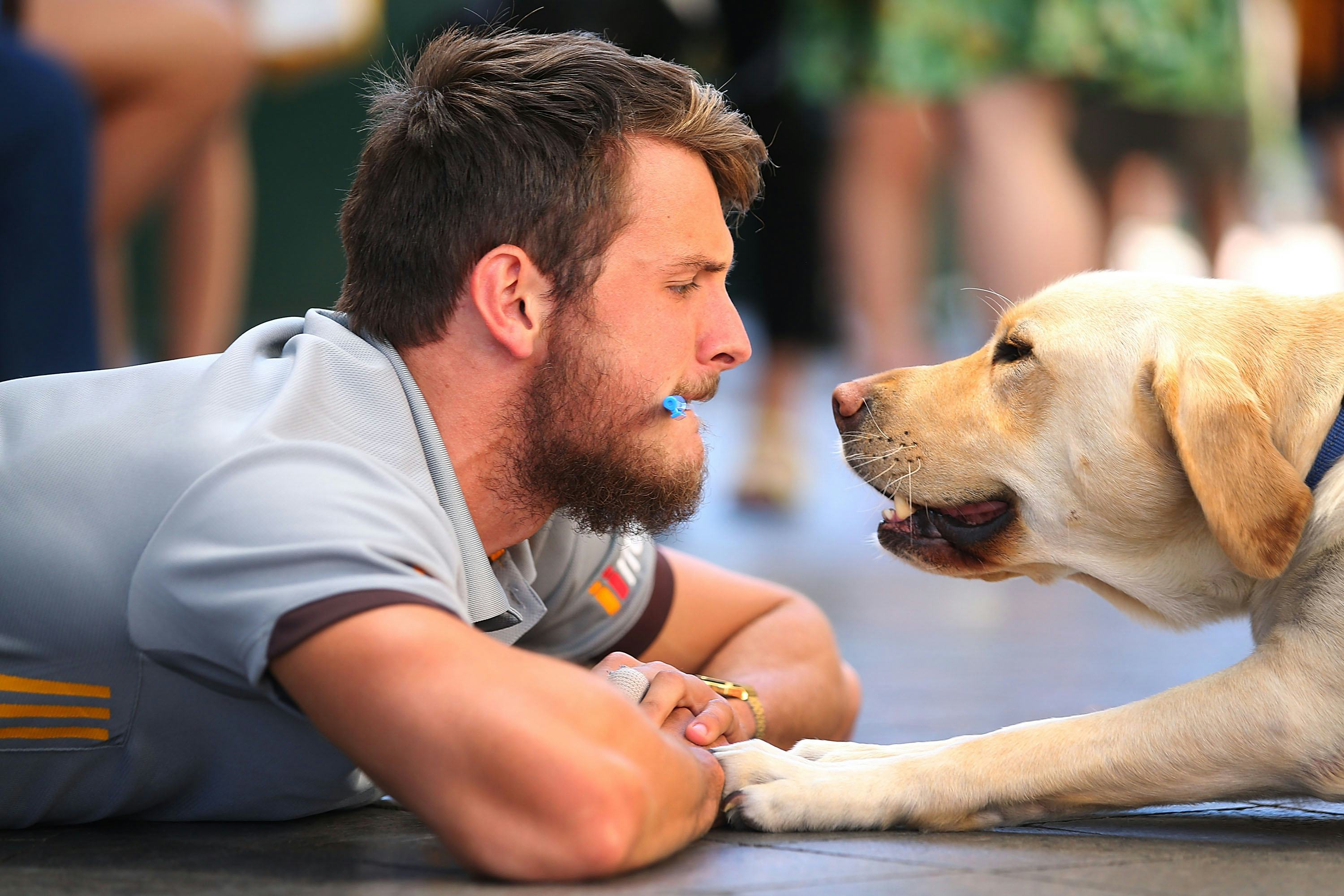 Собака с телефоном. Игра мой говорящий щенок. Собаки ругаются. Talking собака. Собака звонит по телефону.