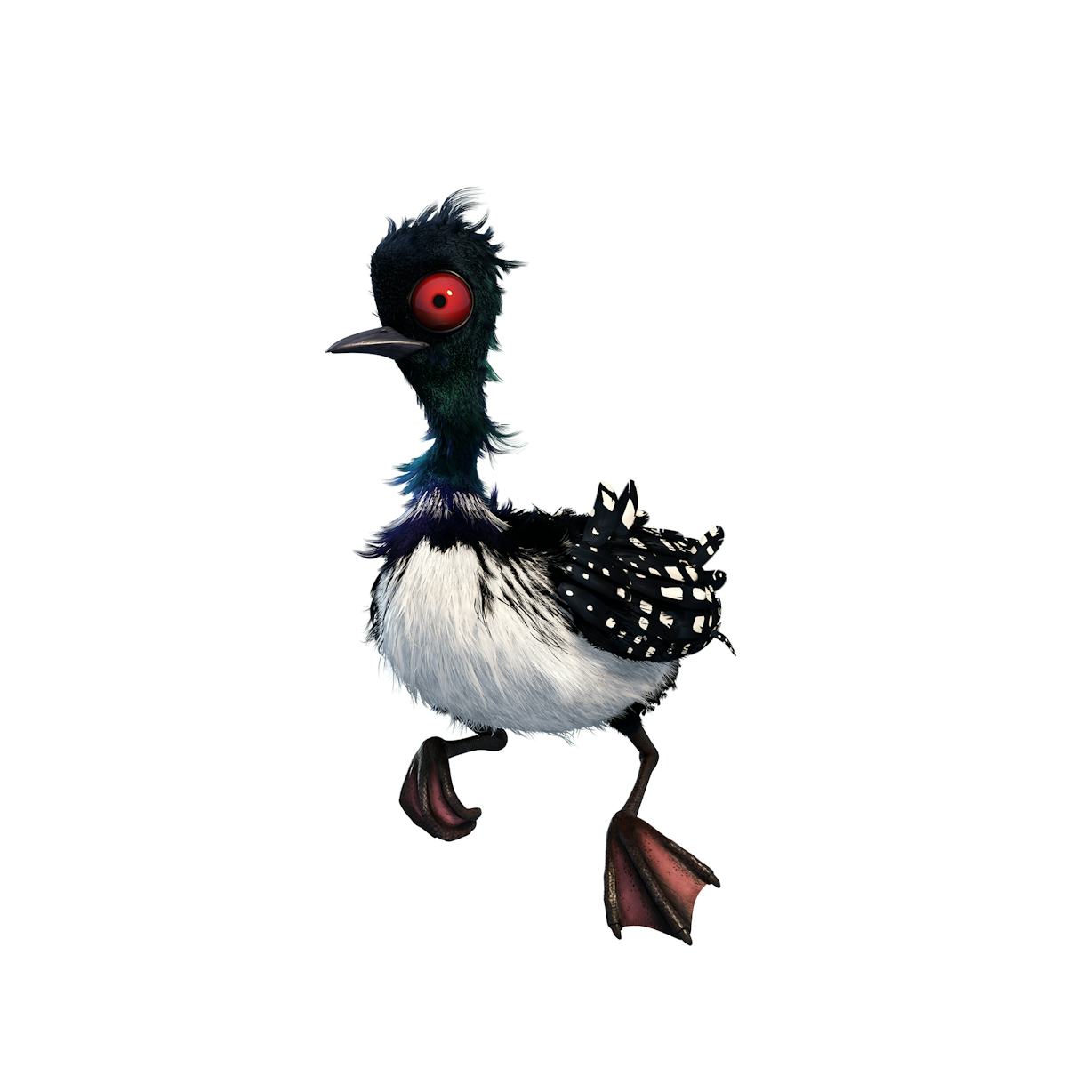 What Kind Of Bird Is Becky In 'Finding Dory'? This Loon Might Steal The