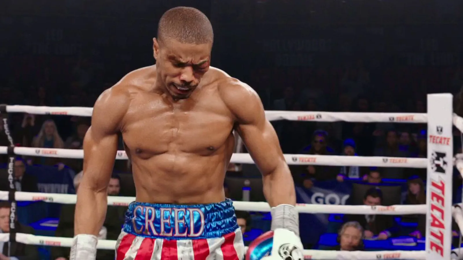 Creed Rival Boxing Are The 'Creed' Boxers Real? The Movie Features More Actual Fighters ...