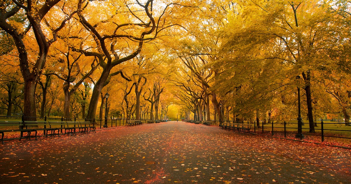 10 Autumn Quotes To Get You Excited About The First Day Of Fall