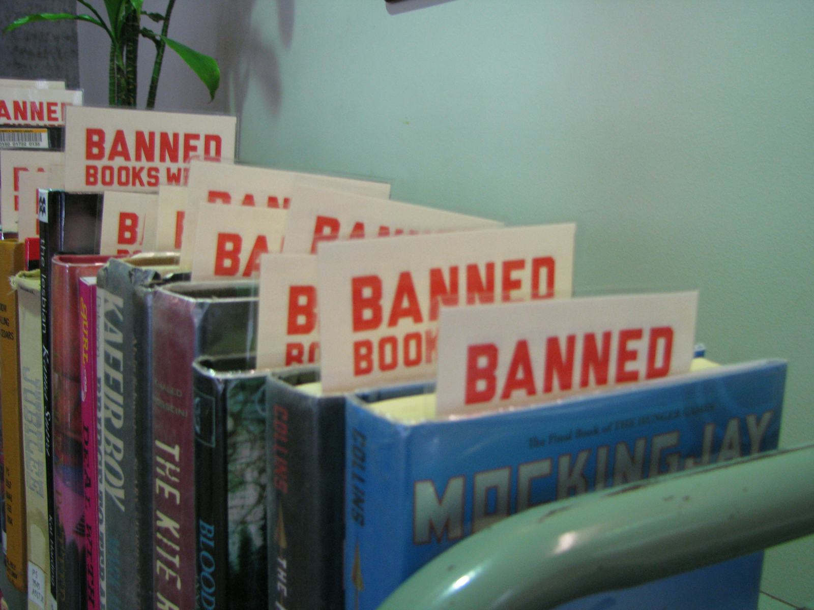 Virginia Book Ban 2025