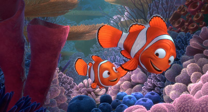 Is Nemo In Finding Dory He May Be Found But He S Still Around
