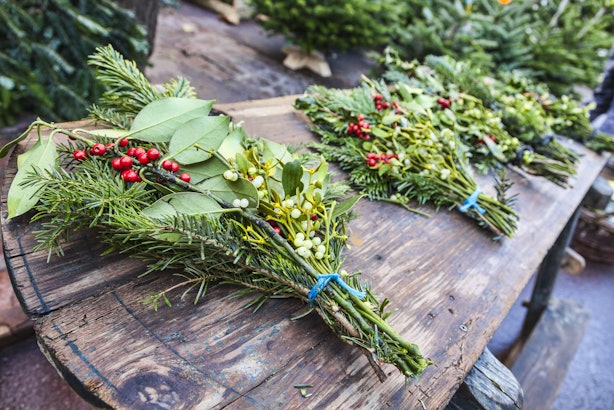 These Mistletoe Beauty Benefits Prove This Plant is Good for More Than ...