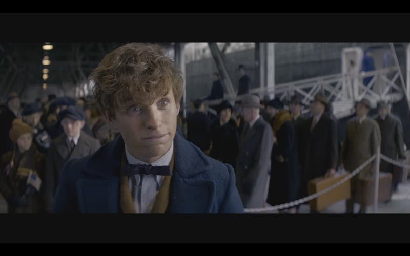 How Do Newt Scamander & Dumbledore Know Each Other? The New 'Fantastic