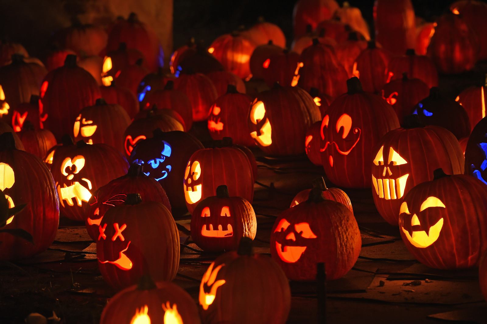 ☀ How long has halloween been celebrated in britain ☀ How long has halloween been celebrated in britain