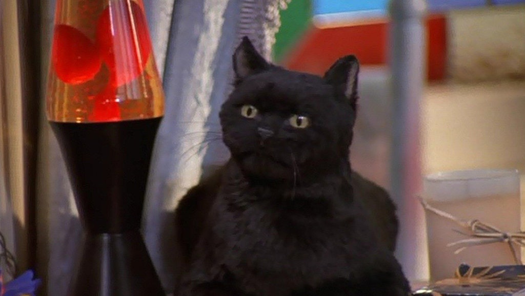 sabrina the teenage witch movie salem voice