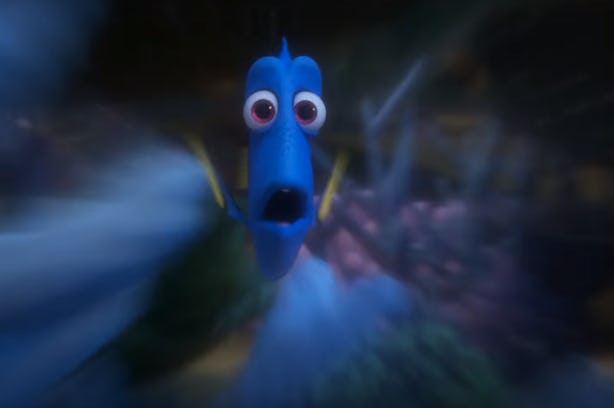 Breaking Down The 'finding Dory' Trailer In Gifs Because This Mystery 