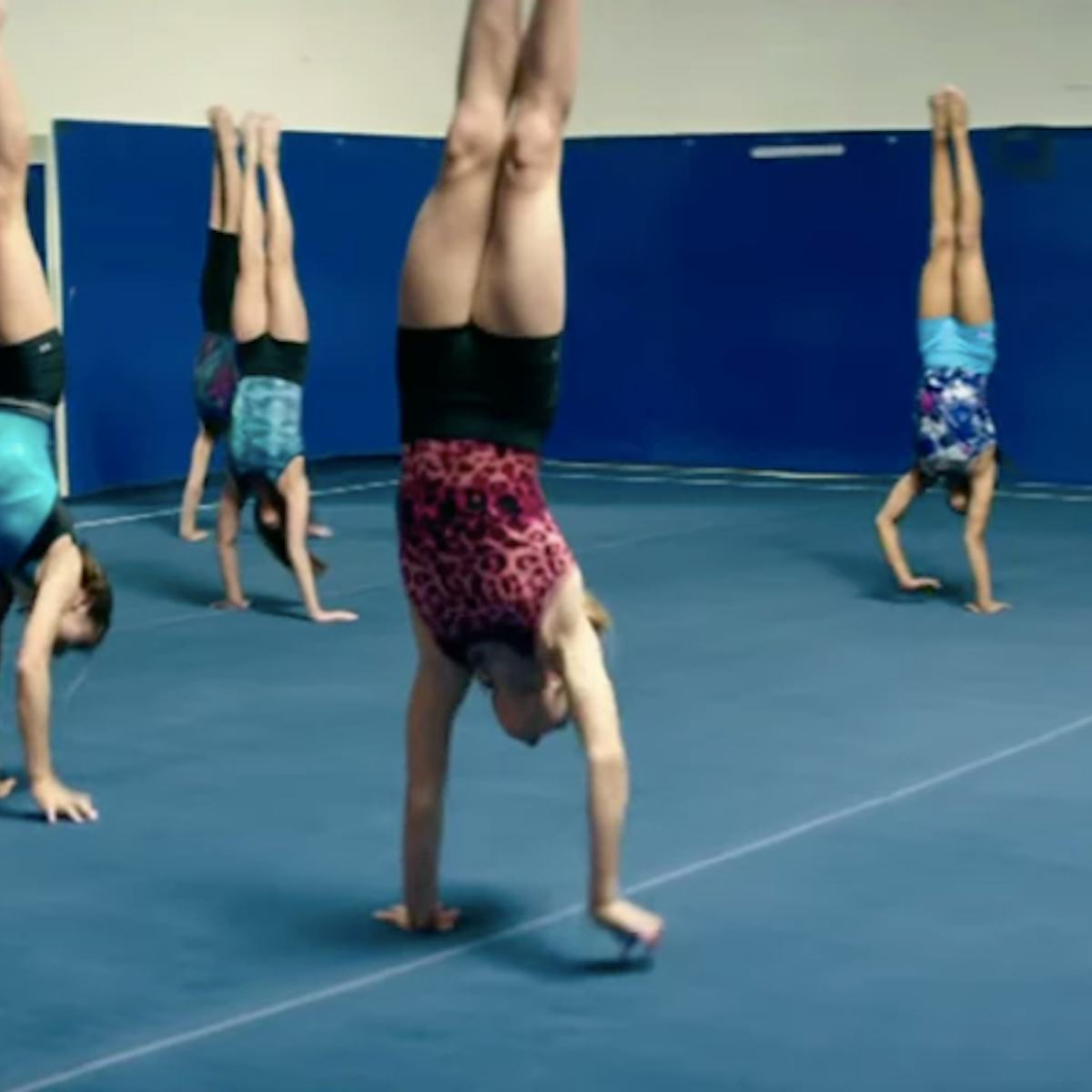 Video porno onlayn rus yotoqxonasi Rus mushuklari fotosuratlari