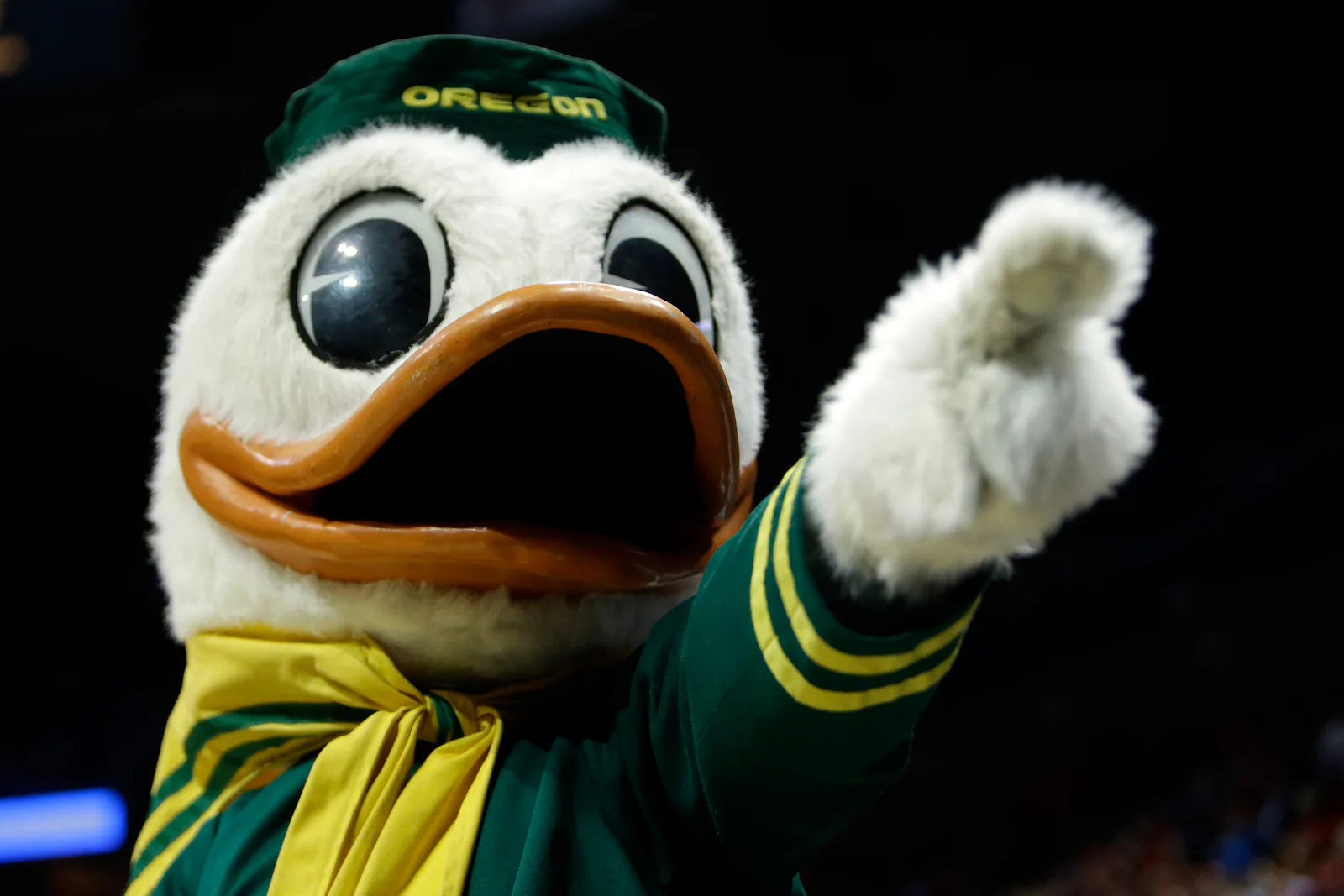 Why University of Oregon Is The Best: 33 Things Only We Ducks Can ...
