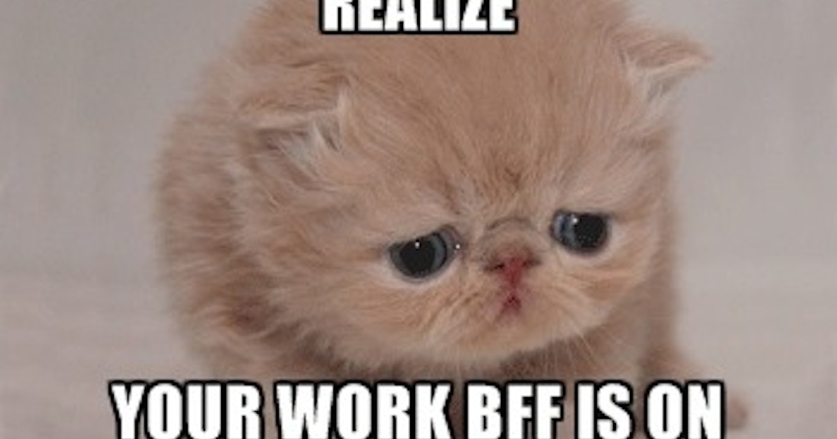 12 Best Friend Memes For National Best Friends Day 2016